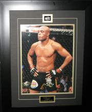 Anderson Silva - UFC Middleweight Champion